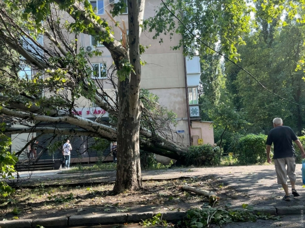 Последствия ливня в Одессе. Затопило дома и паркинги, упало около 100 деревьев. Фото и видео